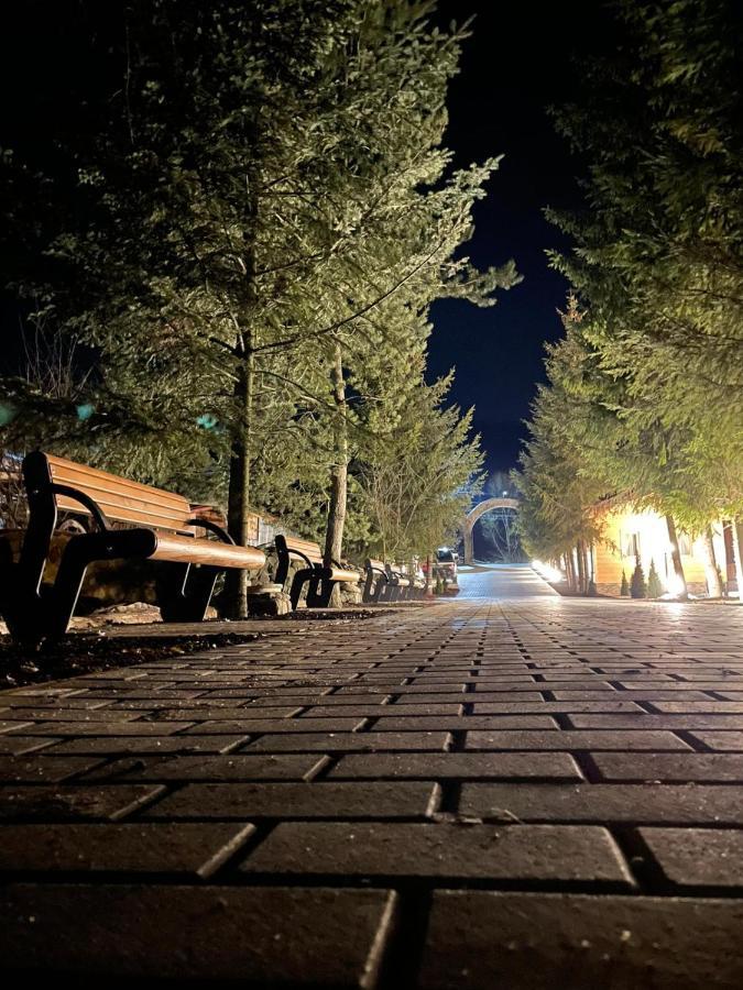 Popasul Lu' Voda Borşa Exterior foto