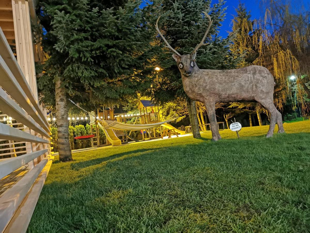 Popasul Lu' Voda Borşa Exterior foto